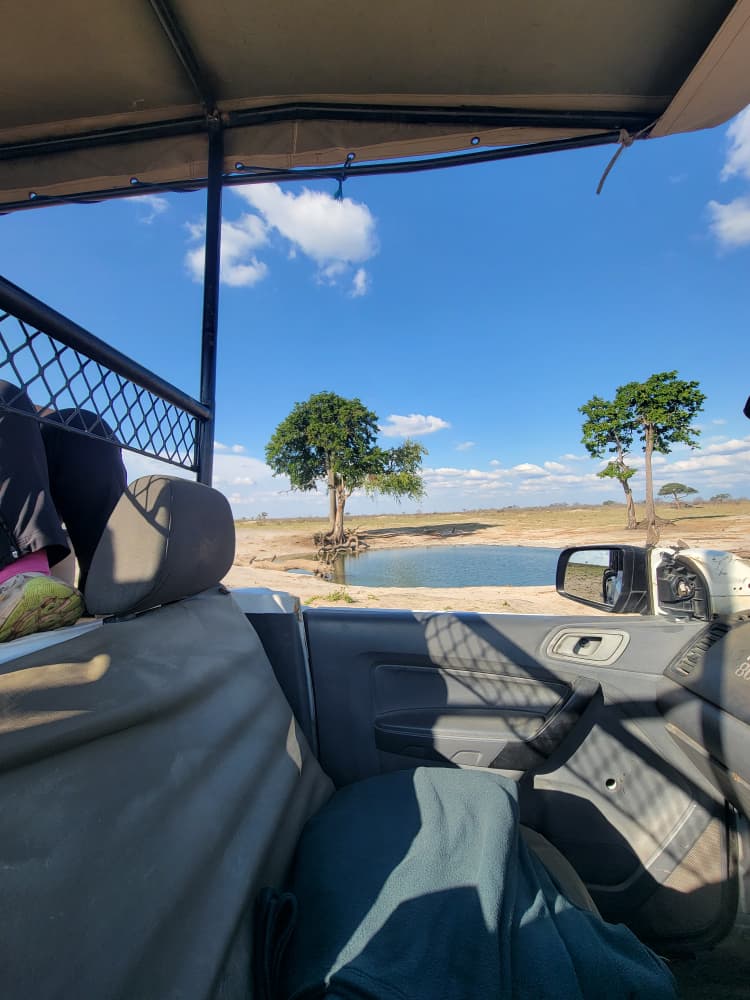 Game Drive at Hwange Wild Life Safaris