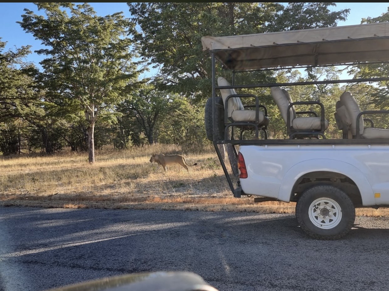 Game Drive