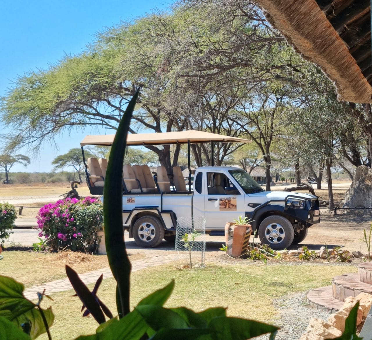 Hwange Wild Life Safaris