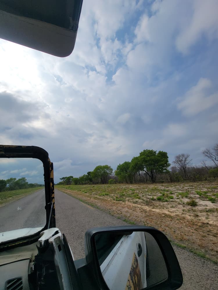 Game Drive at Hwange Wild Life Safaris
