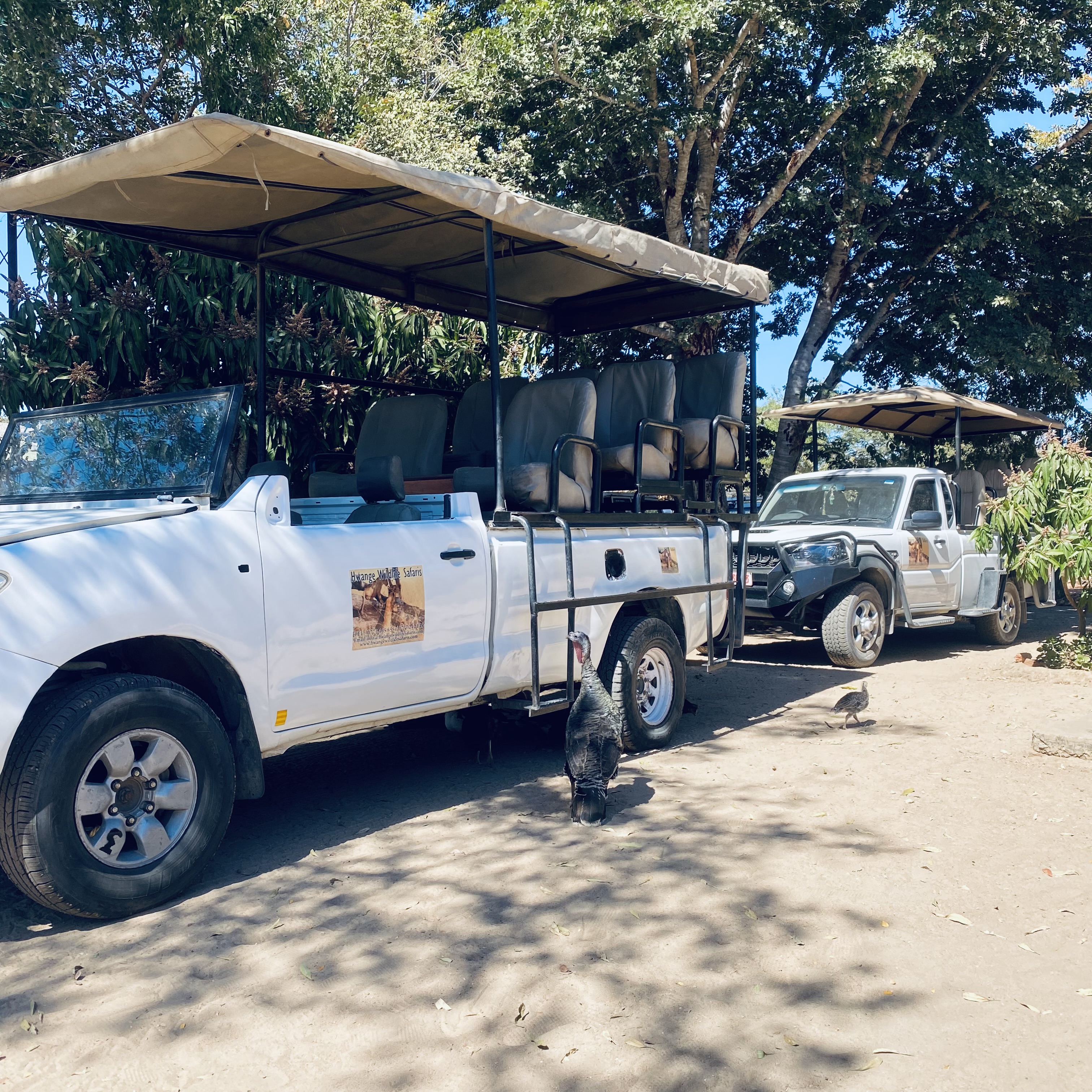 Game Drive