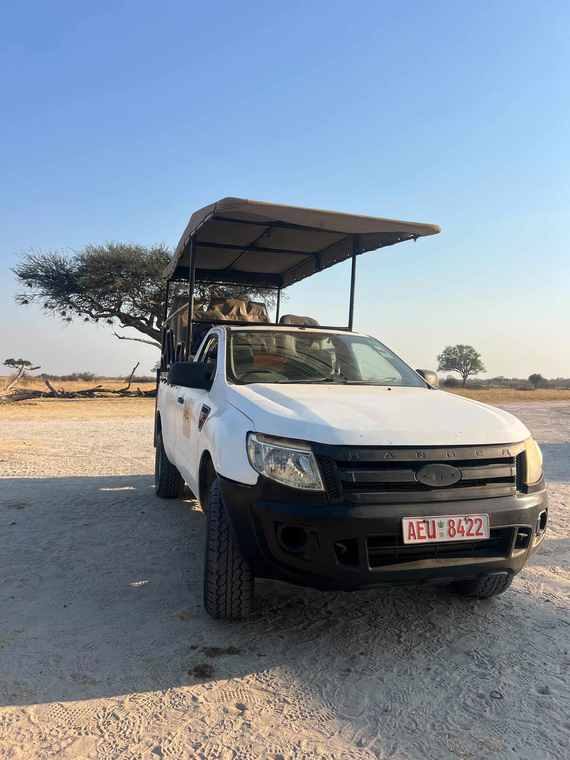 Game drive