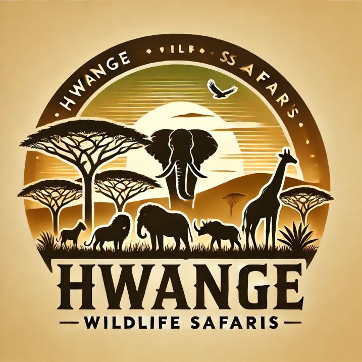 Explore the Wild with Hwange Wildlife Safaris: A Complete Adventure Package